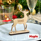 Personalised Christmas Reindeer Table Names